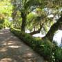 Magnolia Plantation & Gardens MAY LOOKS - Riverside of the Main House