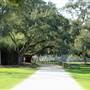Cherokee Plantation - Golf Club & Roads
