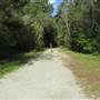 James Island County Park - Path - From Dog Park Around an Island