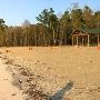 Overton Park