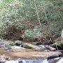 Twin Falls (aka Reedy Cove Falls)