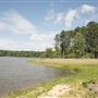 Chester State Park