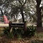 Oak Alleys of the Lowcountry - Beaufort Region