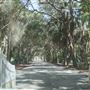 Vanderhorst Plantation Overview - April 2019