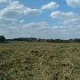 Darby Farms - Pastures