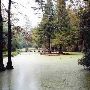 Swan Lake Iris Gardens