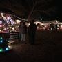 Tiny Town Christmas Display