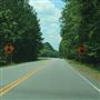 Hwy. 98 / Cainhoy Rd. (from Huger to Wando)