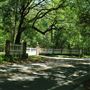 Drayton Hall - Driving In