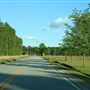 Givhans Ferry Road