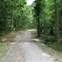 John's Island Co Park - Oak Alley Trail (Part 2)