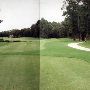Palmetto Hall - (18th Hole)