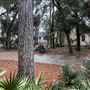 Edisto Beach State Park - Campground