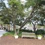 Freshfields Village - Kiawah