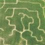 Cherry Place Farms