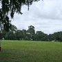 Airy Hall Plantation - Polo  & Rice Fields