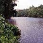 Pacolet River at Converse Mill
