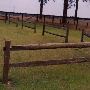 Springdale Horse Race Track (Steeplechase) - Stable E-3