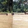 Springdale Horse Race Track (Steeplechase) - Stable E-3