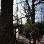 Caesars Head State Park
