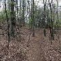 Caesars Head State Park