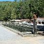 Fish Hatchery