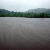 Lake Wateree