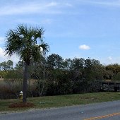Shell Ring Subdivision