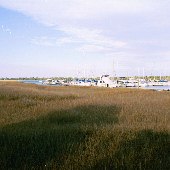 St. John's Yacht Harbor