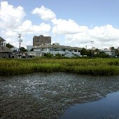 Marina Variety Store and Restaurant