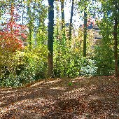 North Main Park