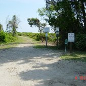 Sullivan's Island - Beach Walkways #2