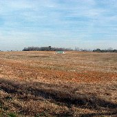 Long Farms #1 (John Long)