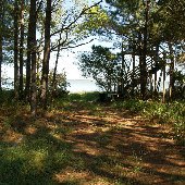 Point of Pines - Look Out Tower, Beach