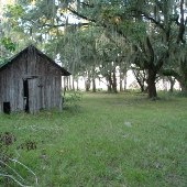 Santee Coastal Reserve (SCDNR)