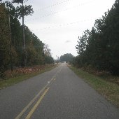 Gibson Road