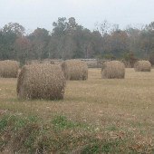 Towles Road