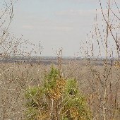 Old Motte - Bluff