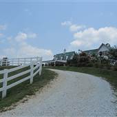 Red Horse Inn - Fences, Pastures, Roads - 2011