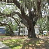 Port Royal Overview - 2011
