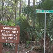 Hunting Island State Park - South Beach