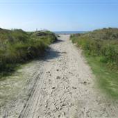 Sullivan's Island Beach - Station 22 @ Mid Tide