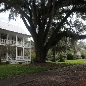 McClellanville - Large Homes
