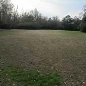 Palmetto Islands County Park - Fields in February