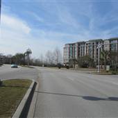 Patriots Point Road - Shriners Bldg. to Bridgeside Blvd.