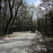Okeetee Hunt Club - Swamp 2