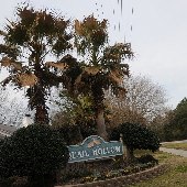 Quail Hollow Subdivision - 2010