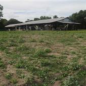 Hamlin Farms