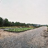 Lowcountry Nursery Company