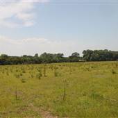 Legare Farms - Power Line Field